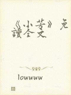 《小芳》免费阅读全文封面