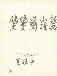 鹧鸪哨小说网站免费阅读无弹窗