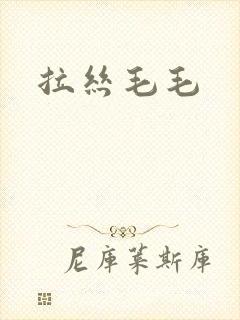 拉丝毛毛
