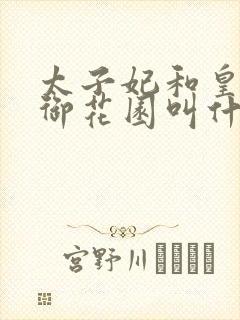 太子妃和皇帝在御花园叫什么小说