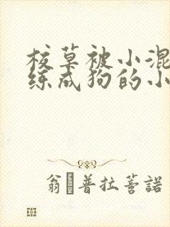校草被小混混训练成狗的小说