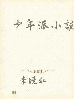 少年派小说