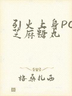 引火上身POP芝麻糖丸