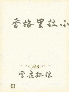 香格里拉小说封面