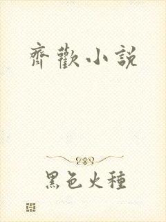 齐欢小说