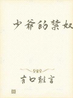 少爷的禁奴