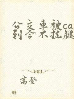 公交车被cao到合不拢腿视频