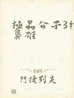 极品公子3续世枭雄