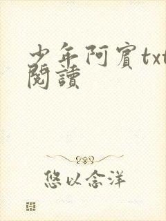 少年阿宾txt阅读封面
