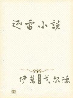 迅雷小说