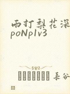 雨打梨花深闭门poNp1v3封面