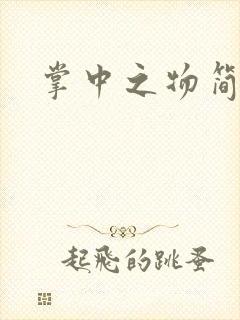 掌中之物简介封面