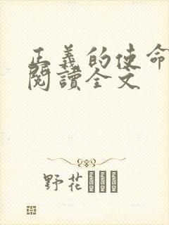 正义的使命免费阅读全文