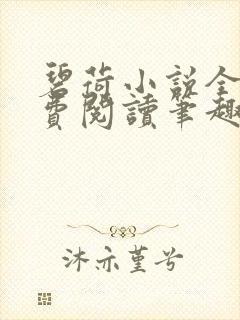 碧荷小说全文免费阅读笔趣阁