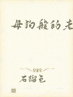 母狗般的老师封面