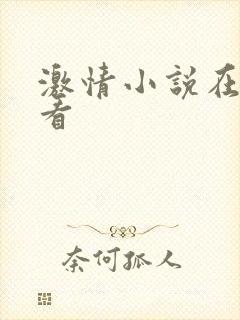 激情小说在线观看