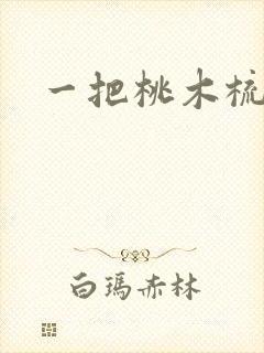 一把桃木梳封面