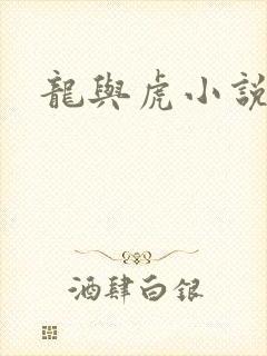 龙与虎小说