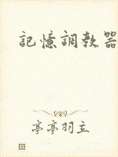 记忆调教器