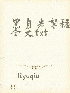 黑月光拿稳小说全文txt