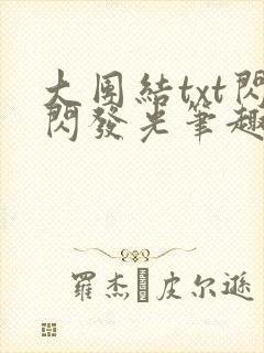 大团结txt闪闪发光笔趣阁封面