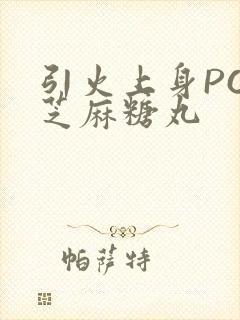 引火上身POP芝麻糖丸