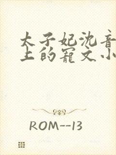 太子妃沈音和皇上的宠文小说