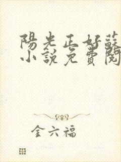 阳光正好苏玥玥小说免费阅读无弹窗