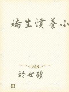 娇生惯养小说