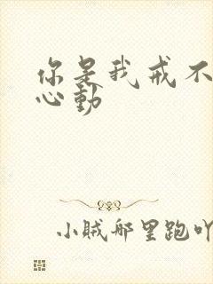 你是我戒不掉的心动