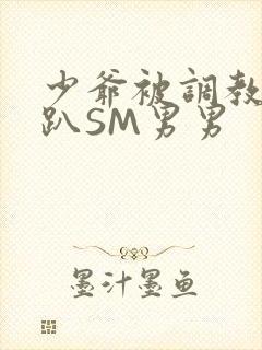 少爷被调教室跪趴SM男男