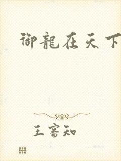 御龙在天下载封面