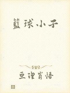 篮球小子