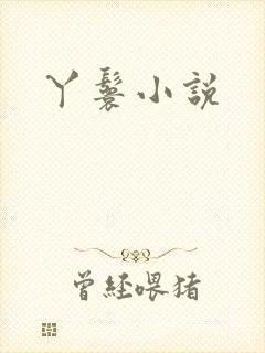丫鬟小说封面