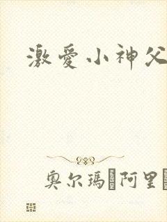 激爱小神父