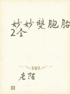 妙妙双胞胎1-2全封面
