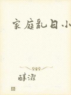 家庭乱日小说