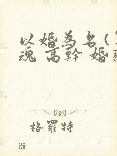以婚为名 (军魂 高干 婚恋)