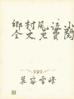 乡村风流小傻子全文免费阅读封面