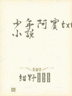 少年阿宾txt小说