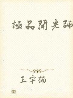 极品开光师封面