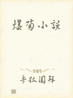 爆菊小说