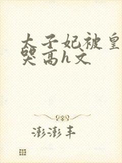 太子妃被皇上c哭高h文
