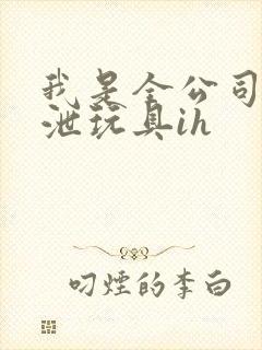 我是全公司的发泄玩具ih