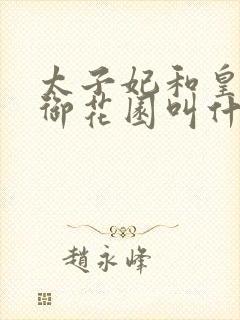 太子妃和皇帝在御花园叫什么小说封面