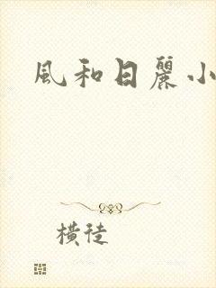 风和日丽小说