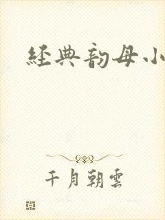 经典韵母小说