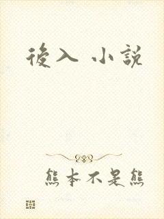 后入 小说