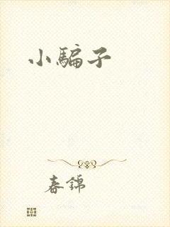 小骗子