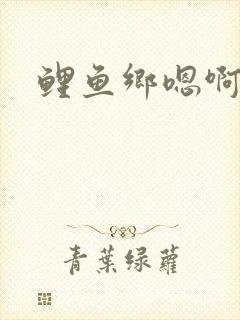 鲤鱼乡嗯啊